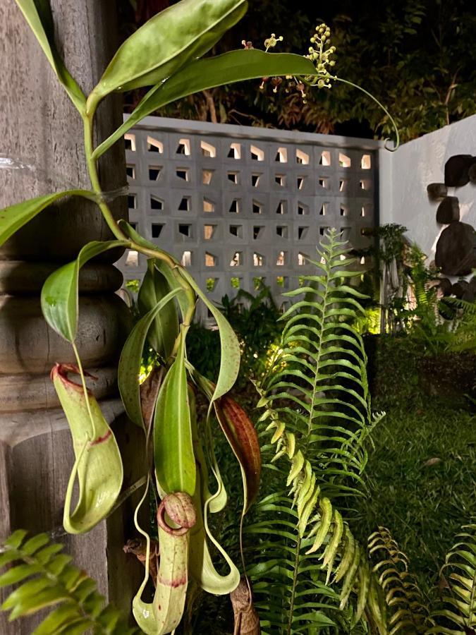 Ikiru 18 Private Saltwater Pool Villa, 3 Ensuite Br, Outdoor Bbq, 5 Mins To Beach Pantai Cenang  Esterno foto